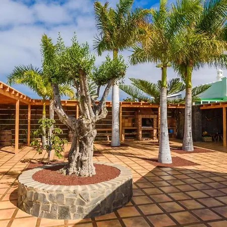 Villa Lanzarote Olive