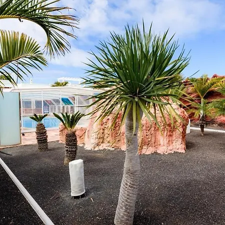 Lanzarote Olive Playa Blanca